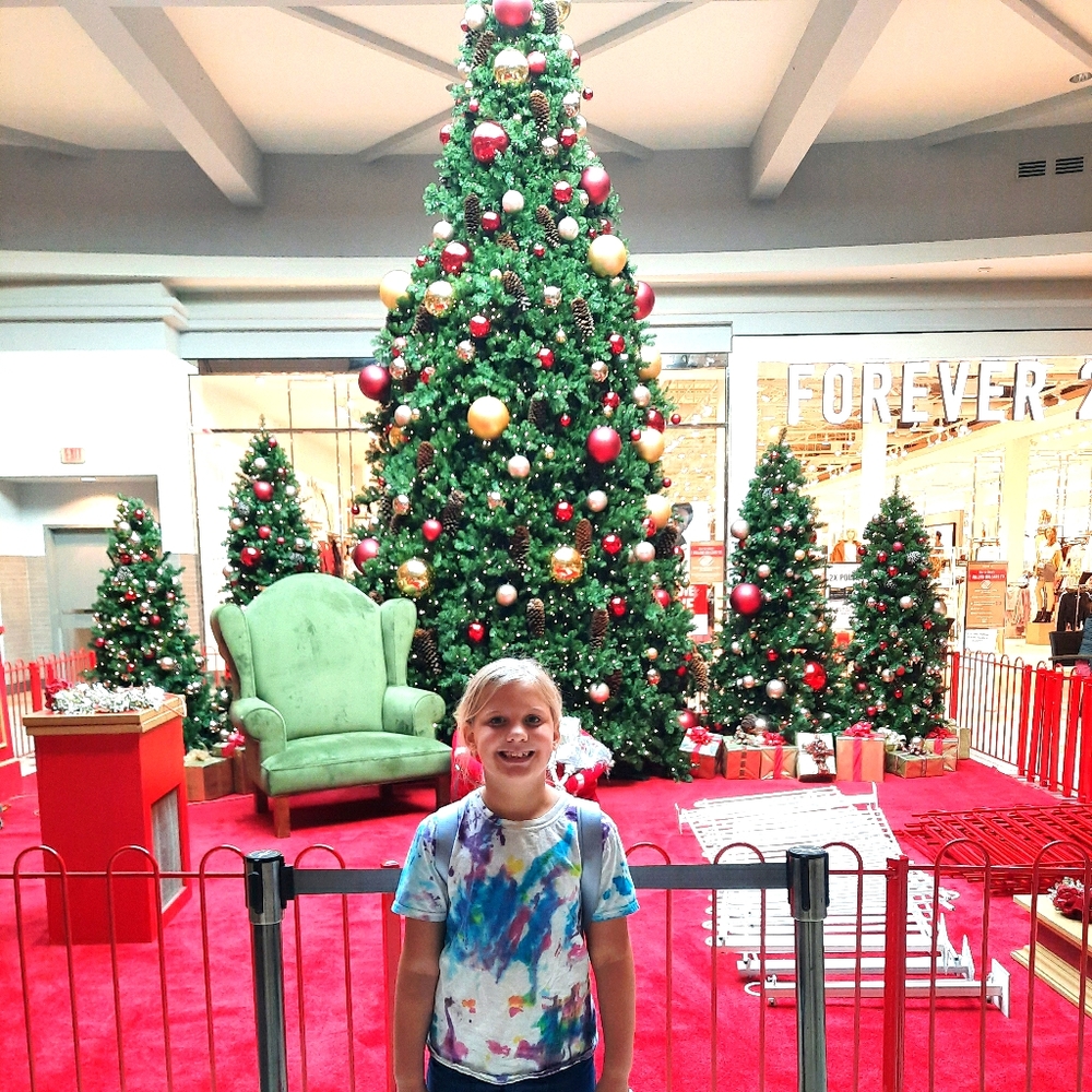 Christmas Holiday
